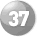 37 37