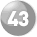 43 43