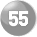 55 55