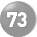 73 73